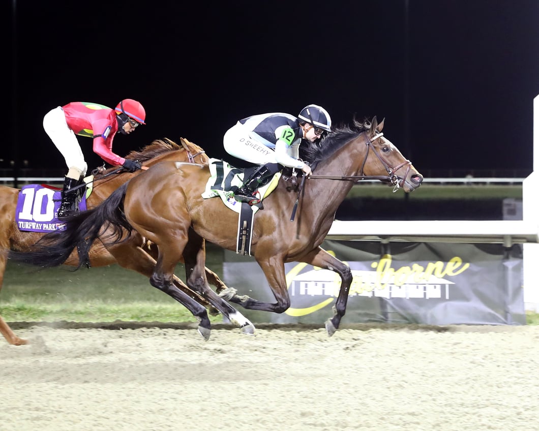 SPEED SHOPPER - The Florence Stakes 1st Running - 12-20-25 - R08 - Turfway Park - Finish 01