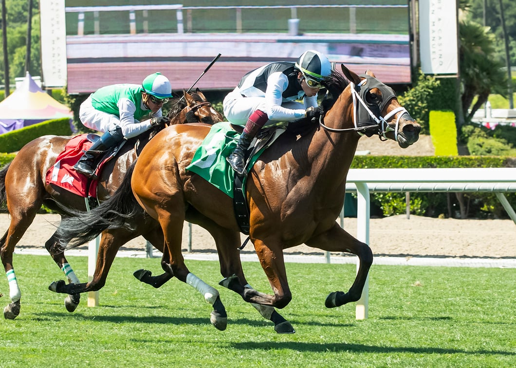 LA VILLE LUMIERE ACTNT