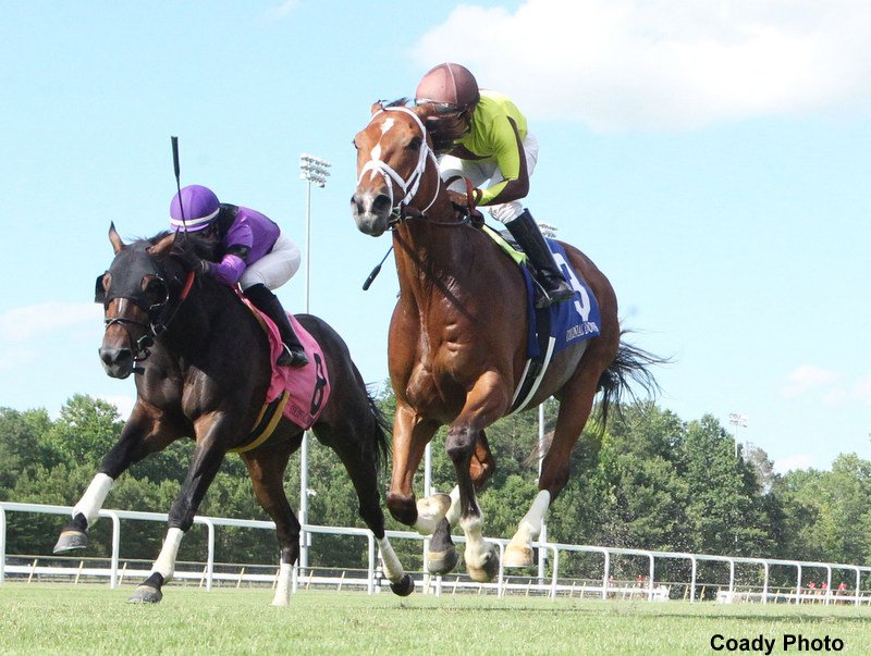 LARGENT-The-Edward-P-Evans-Stakes-3rd-Running-07-11-22-R08-CNL-Under-Rail-01