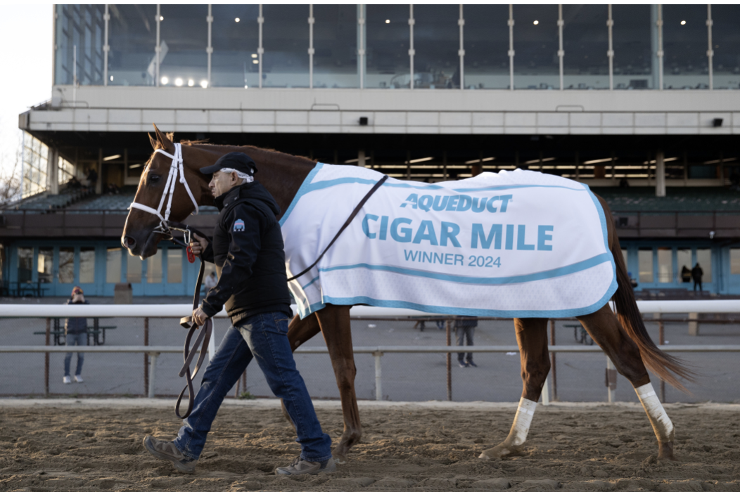 Screenshot 2024-12-09 at 11.27.09 AM