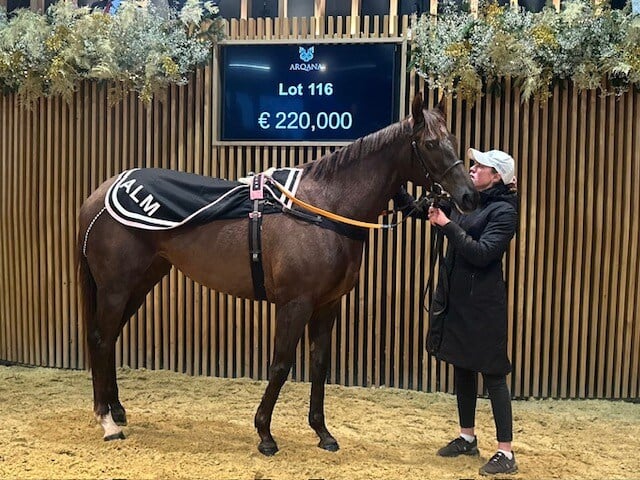 0742c577-9e5e-47d2-b52b-67034ba2d361