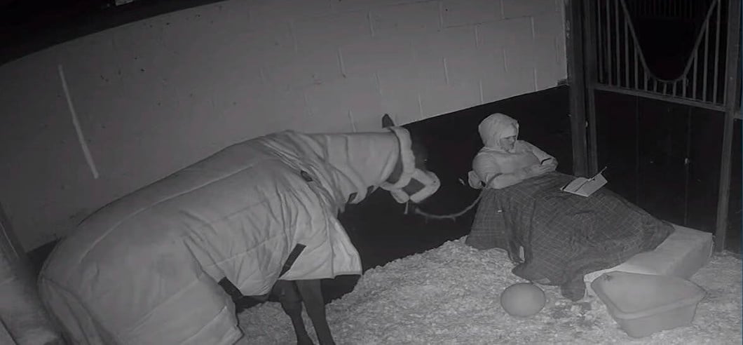 6bd79407-275b-4723-9603-b6081133f81c