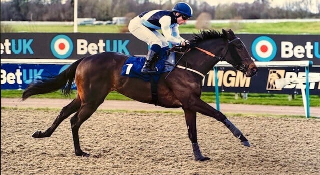 934d06ce-4f0b-4529-9a51-5a16461bb54d